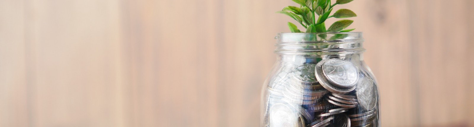 Savings Growth