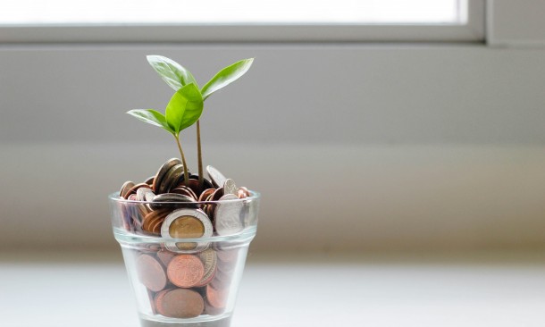 A pot of coins with a plant shoot emerging from the top